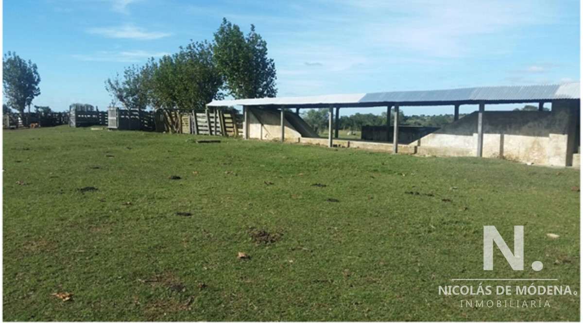 En venta campo tipo criador en Montevideo   Treinta y Tres - GoPunta - Portal Inmobiliario de Punta del Este - Maldonado