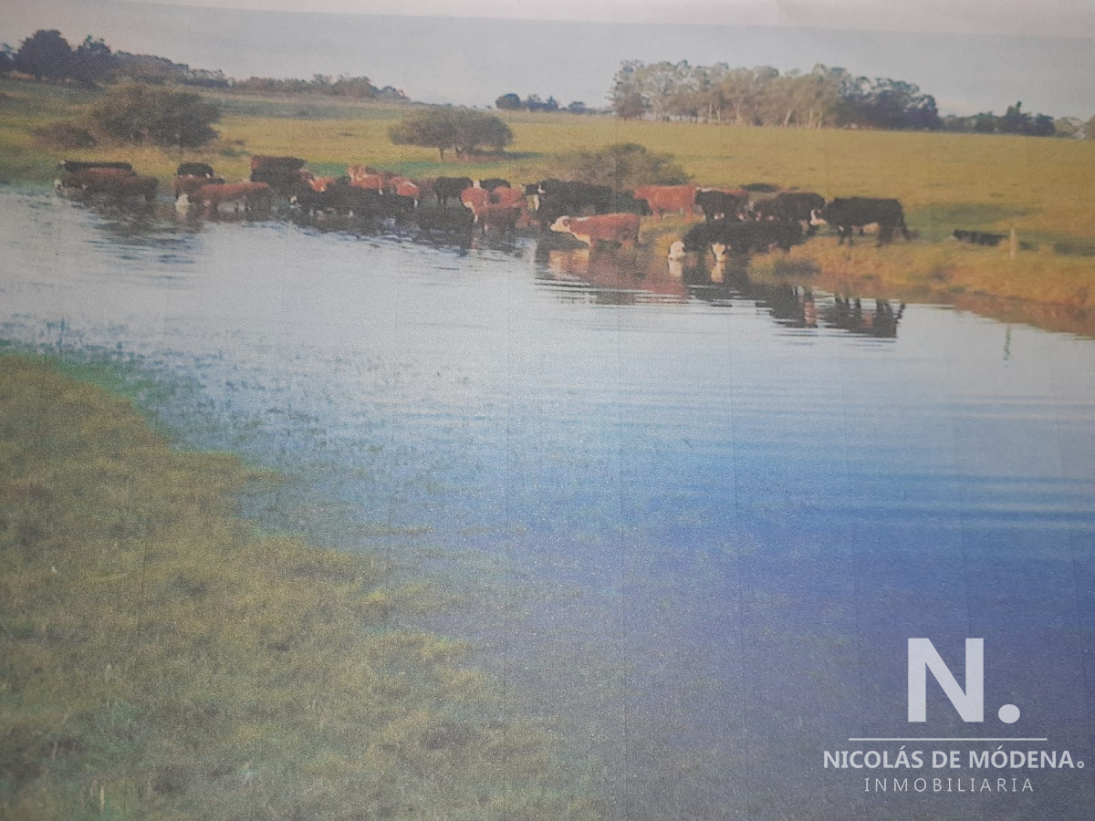 Campo de 31 has proximo a Ruta - GoPunta - Portal Inmobiliario de Punta del Este - Maldonado