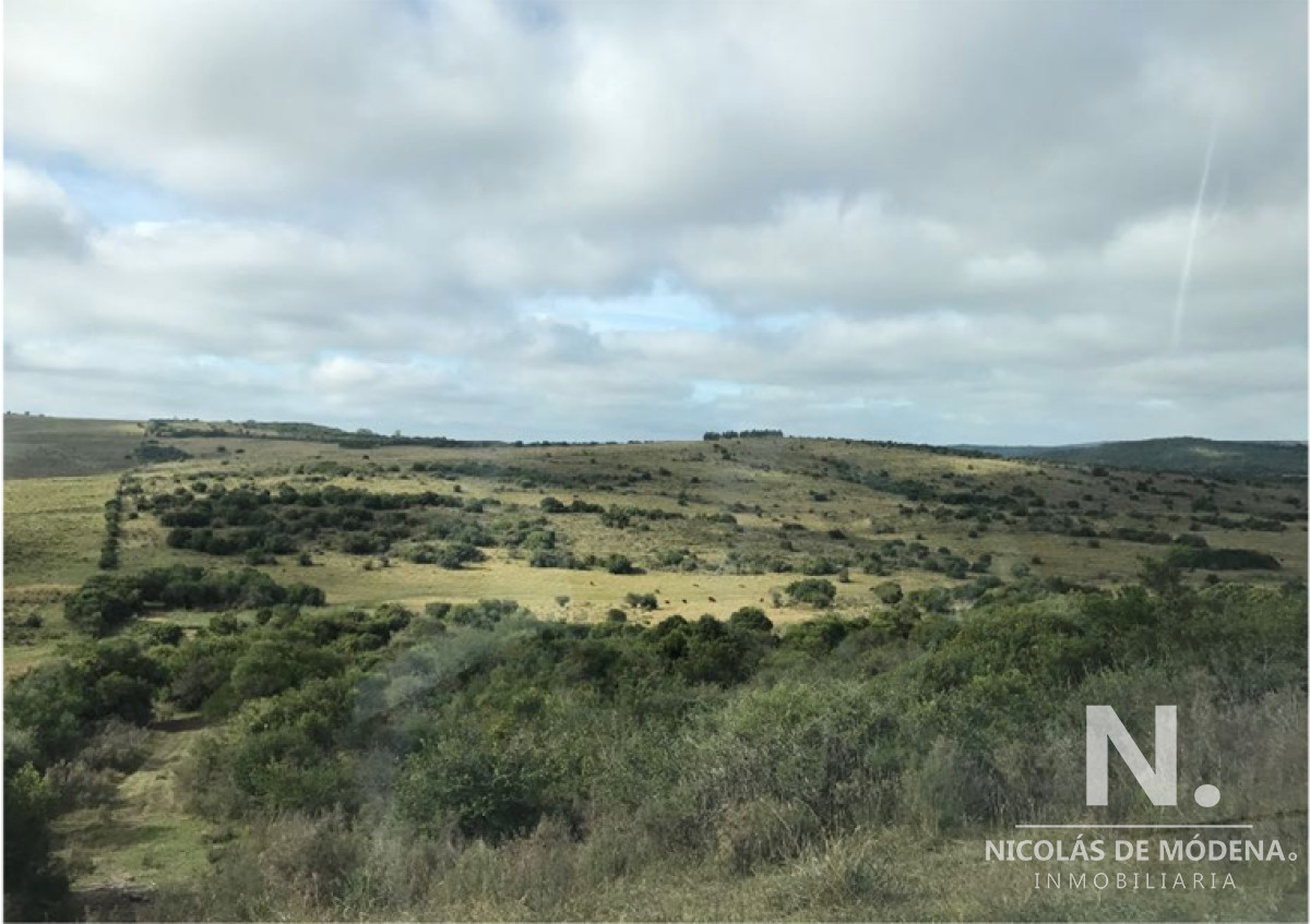 En venta campo criador en Montevideo   Treinta y Tres. - GoPunta - Portal Inmobiliario de Punta del Este - Maldonado