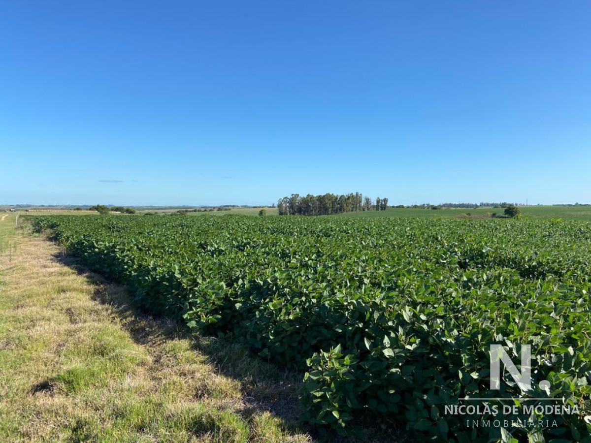 Estancia en San José - GoPunta - Portal Inmobiliario de Punta del Este - Maldonado