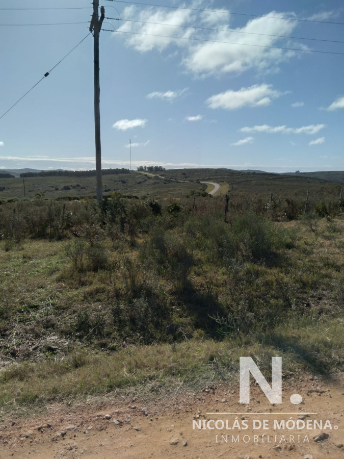Vende campo en la Ruta 60 - GoPunta - Portal Inmobiliario de Punta del Este - Maldonado