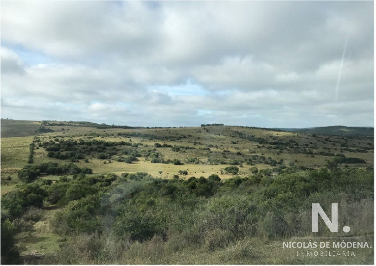 En venta campo criador en Montevideo   Treinta y Tres. - GoPunta - Portal Inmobiliario de Punta del Este - Maldonado