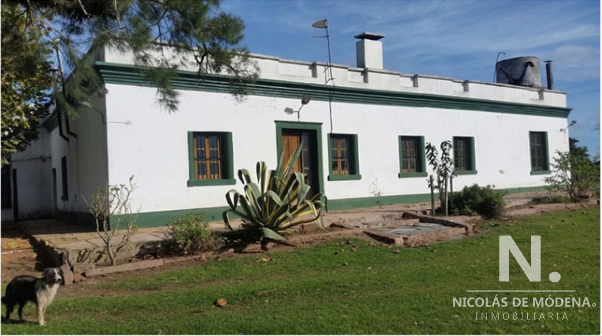 En venta campo tipo criador en Montevideo   Treinta y Tres - GoPunta - Portal Inmobiliario de Punta del Este - Maldonado