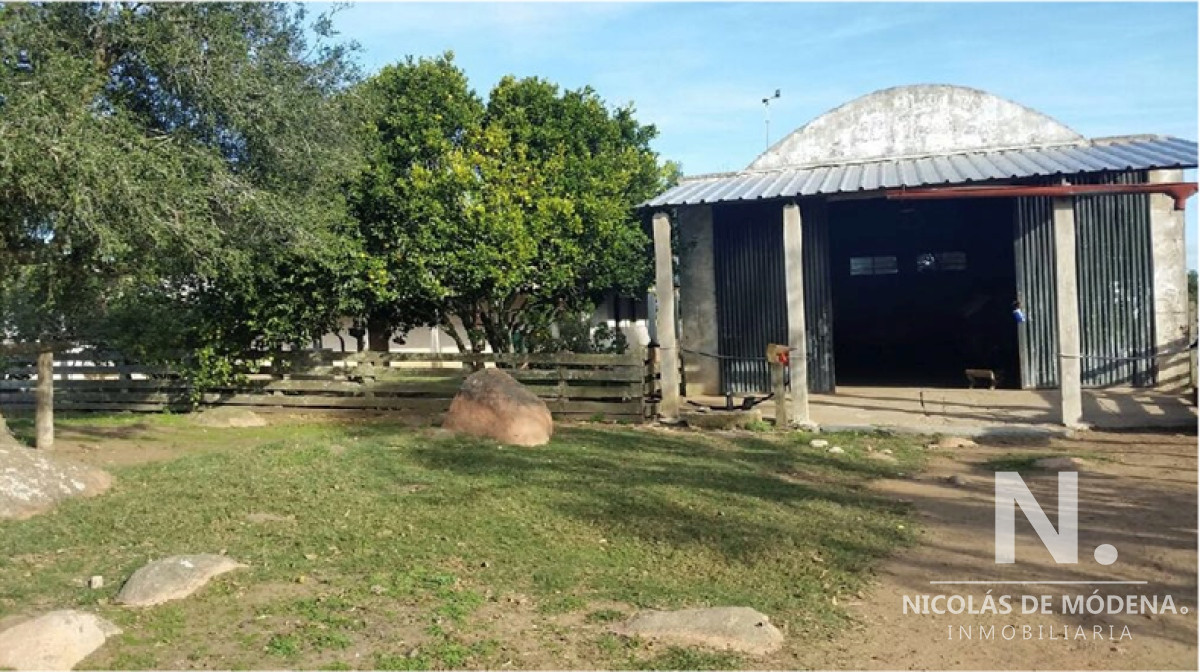 En venta campo criador en Montevideo   Treinta y Tres. - GoPunta - Portal Inmobiliario de Punta del Este - Maldonado