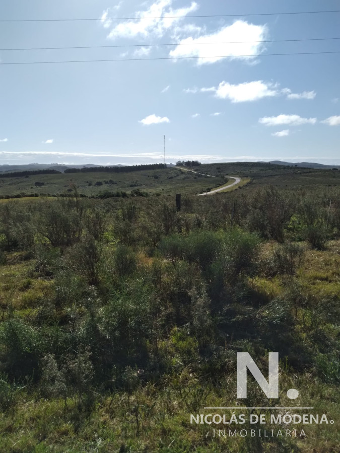 Vende campo en la Ruta 60 - GoPunta - Portal Inmobiliario de Punta del Este - Maldonado