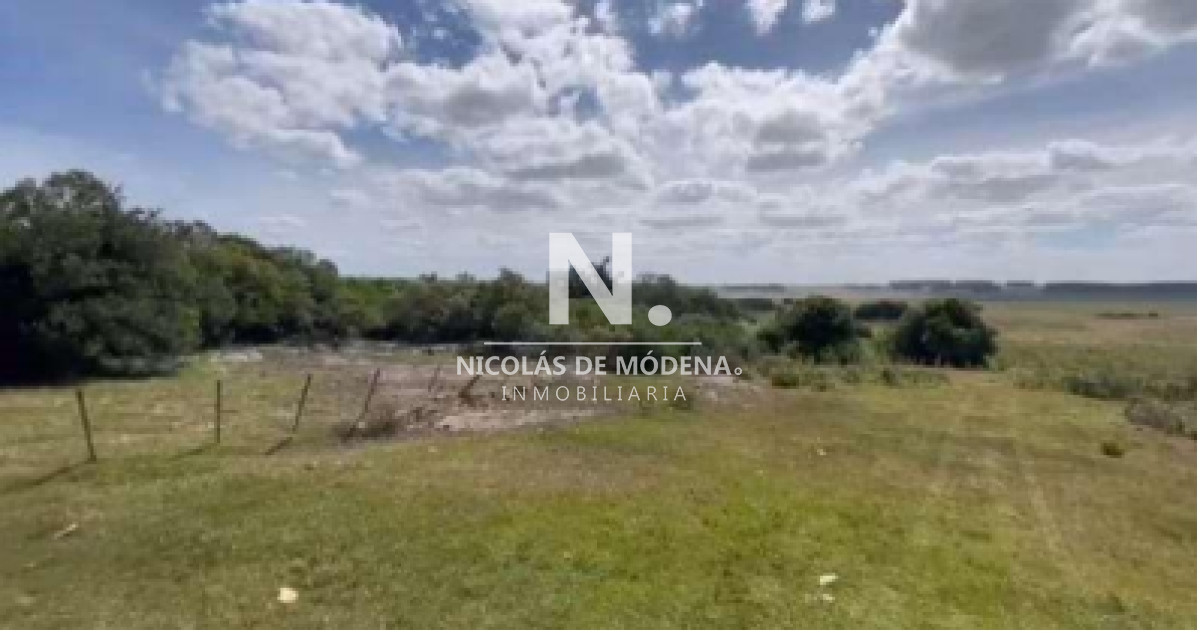 Vende Gran campo Ganadero  Forestal - GoPunta - Portal Inmobiliario de Punta del Este - Maldonado