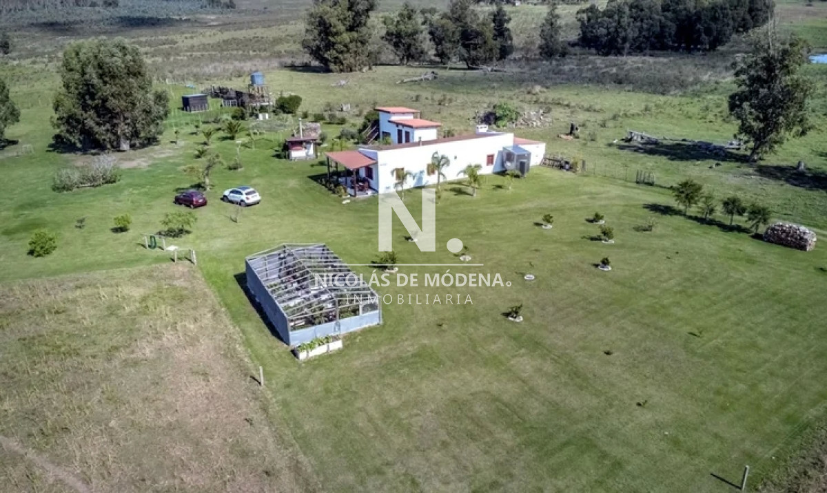 Campo