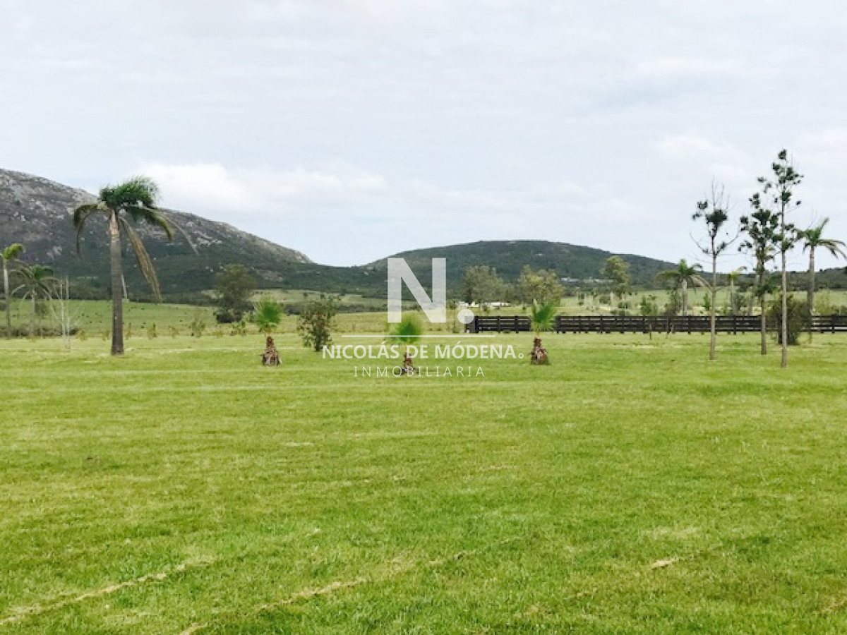 Campo