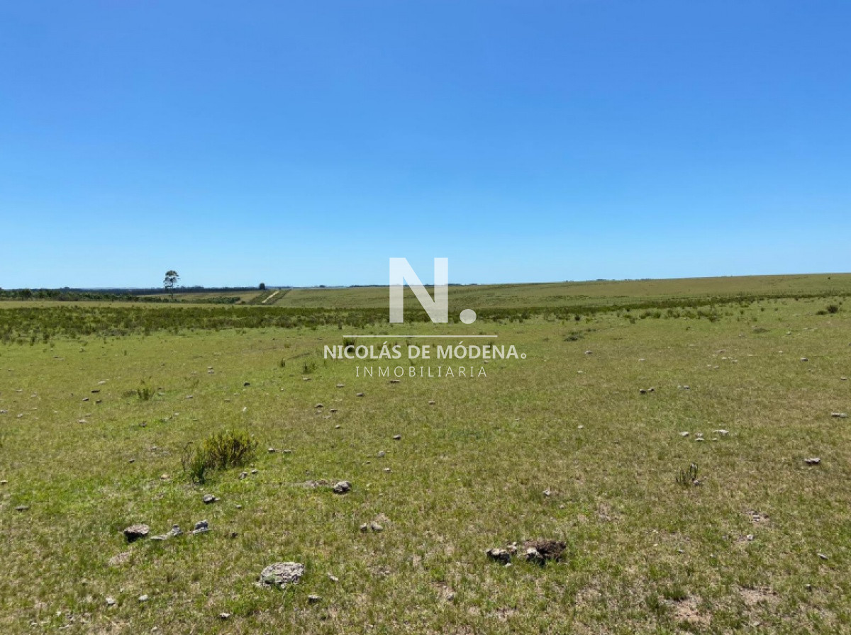 Espectacular campo de 48 hectáreas en Garzón - GoPunta - Portal Inmobiliario de Punta del Este - Maldonado