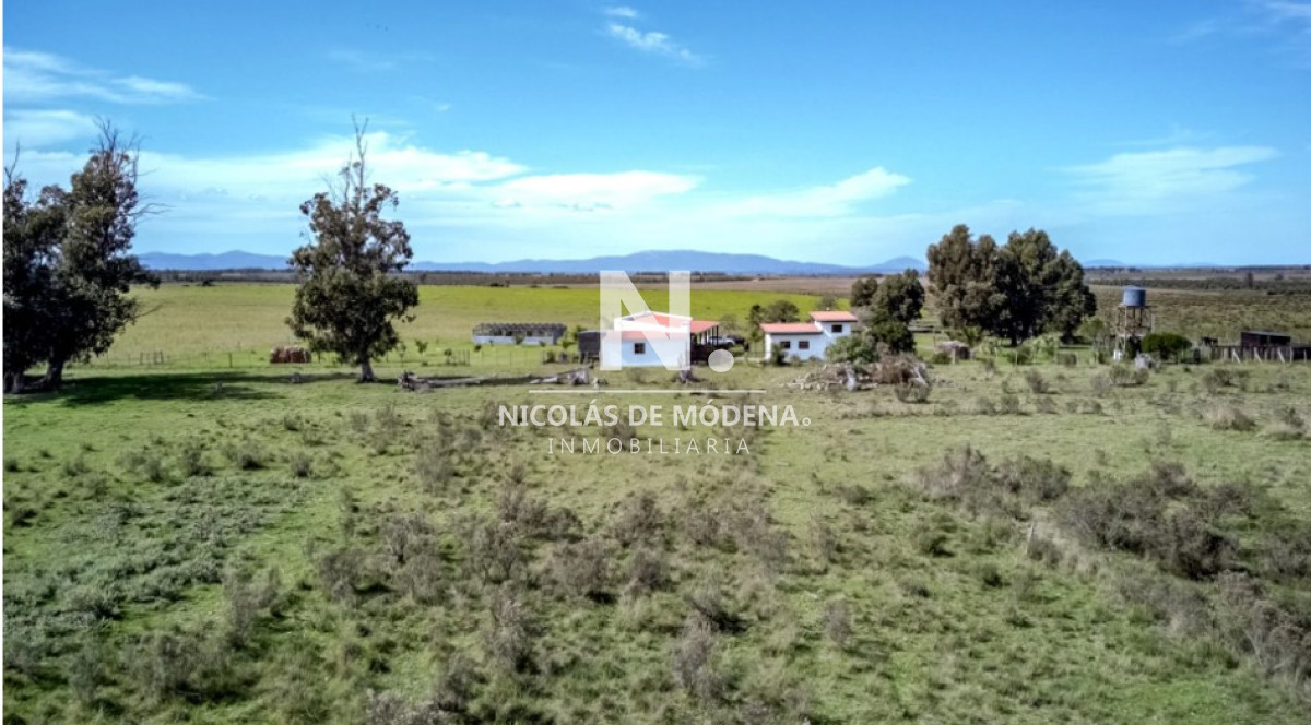 Campo