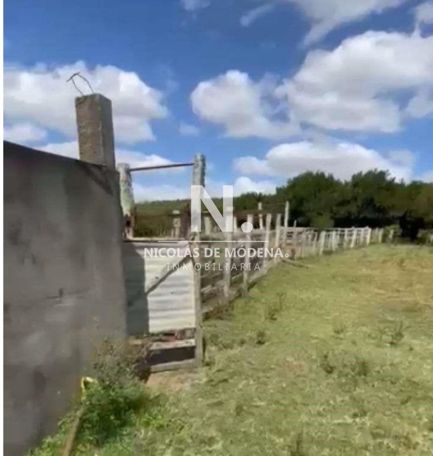 Vende Gran campo Ganadero  Forestal - GoPunta - Portal Inmobiliario de Punta del Este - Maldonado