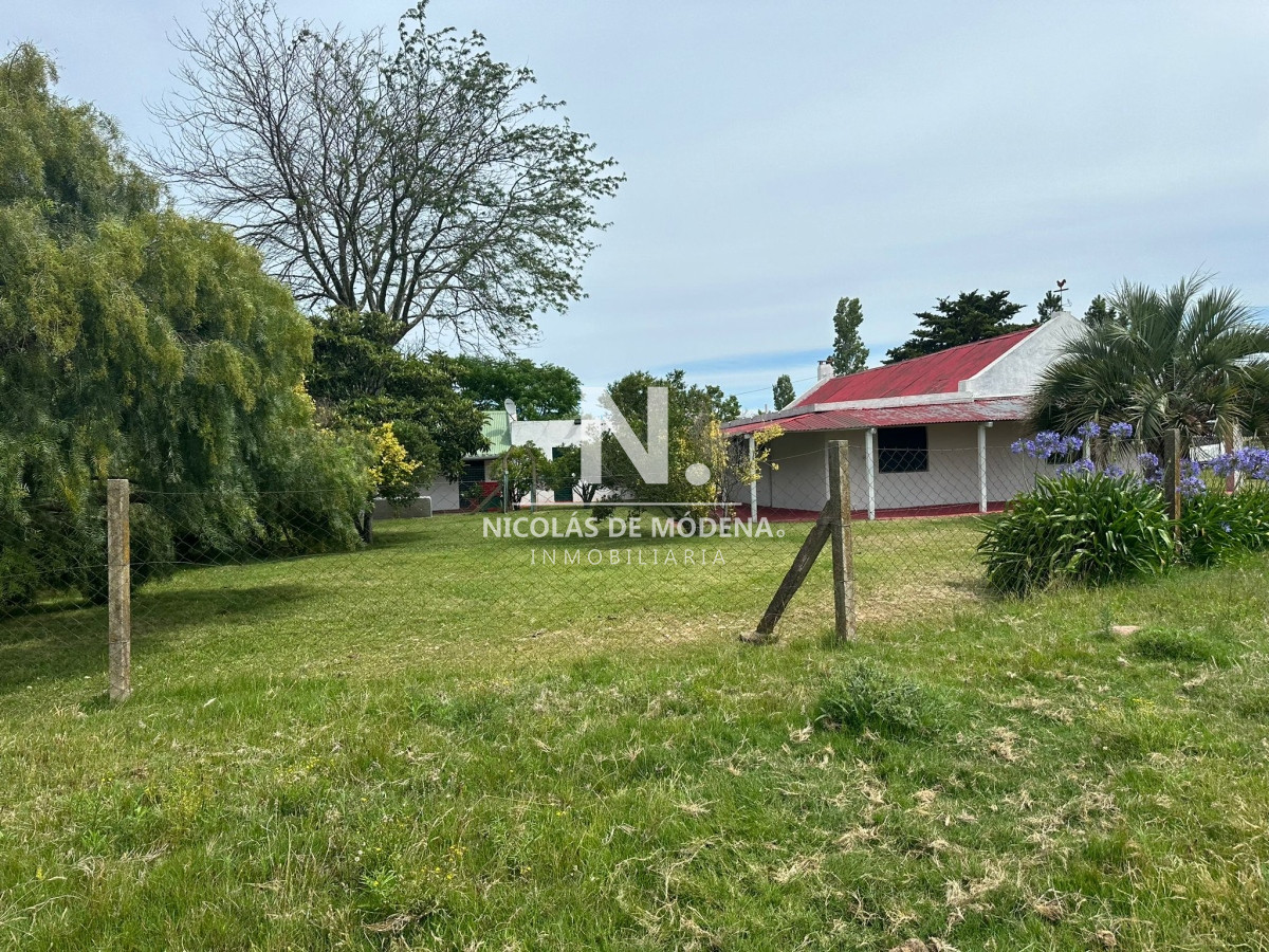 Campo en Maldonado   Gerona - GoPunta - Portal Inmobiliario de Punta del Este - Maldonado
