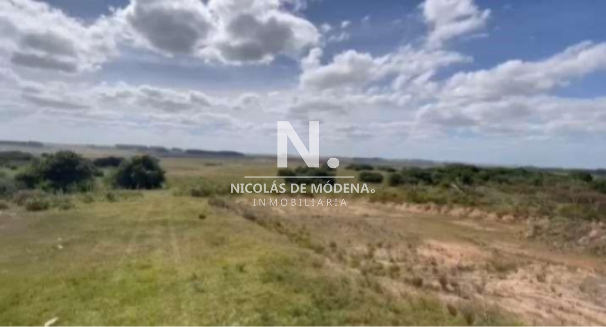 Vende Gran campo Ganadero  Forestal - GoPunta - Portal Inmobiliario de Punta del Este - Maldonado