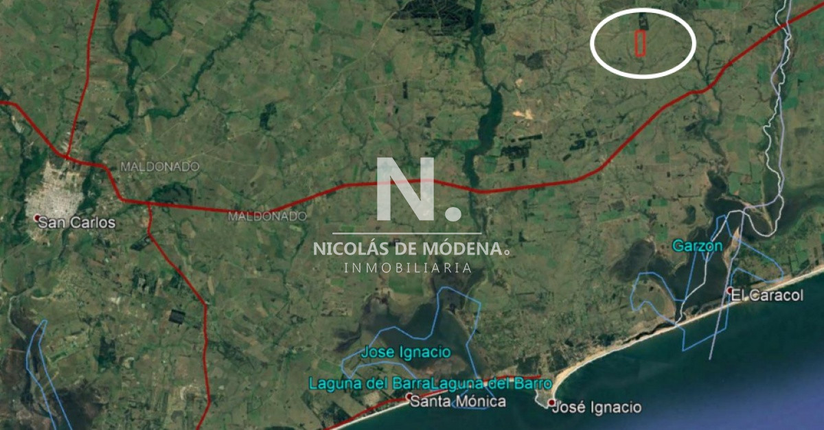 Espectacular campo de 48 hectáreas en Garzón - GoPunta - Portal Inmobiliario de Punta del Este - Maldonado