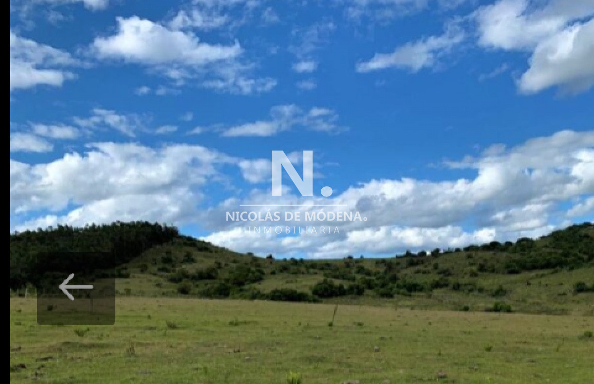 Campo
