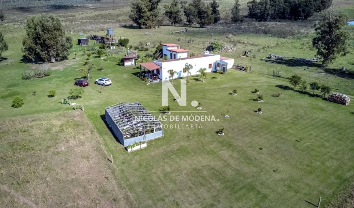 Campo