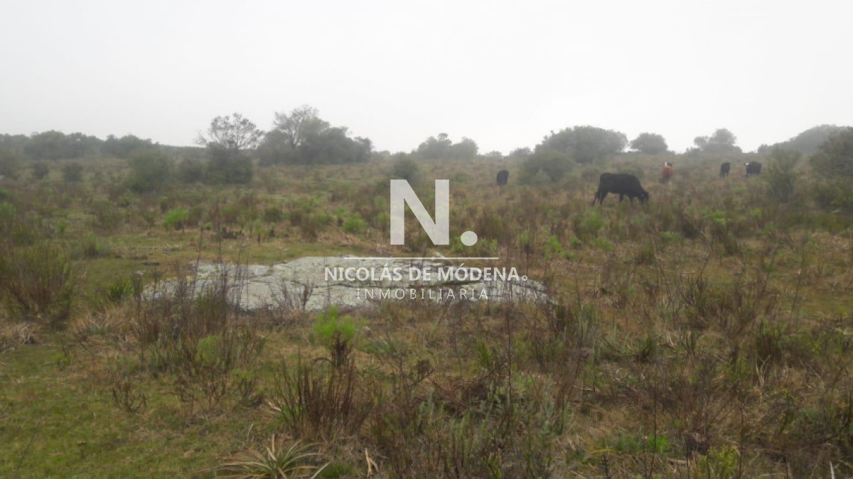 Vende campo en Aigua  Maldonado de 40 hectareas. - GoPunta - Portal Inmobiliario de Punta del Este - Maldonado