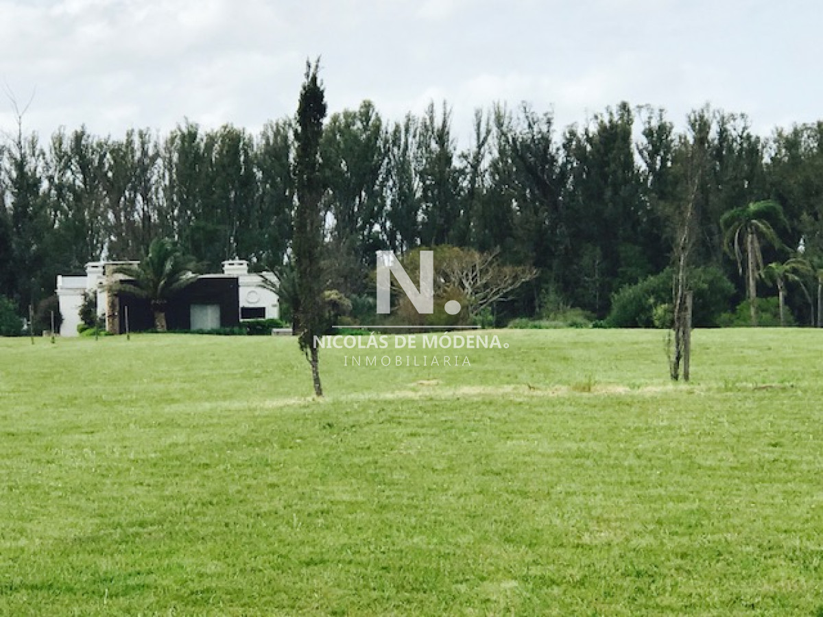 Campo
