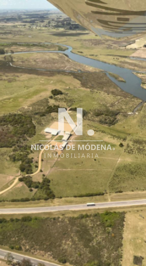 Campo