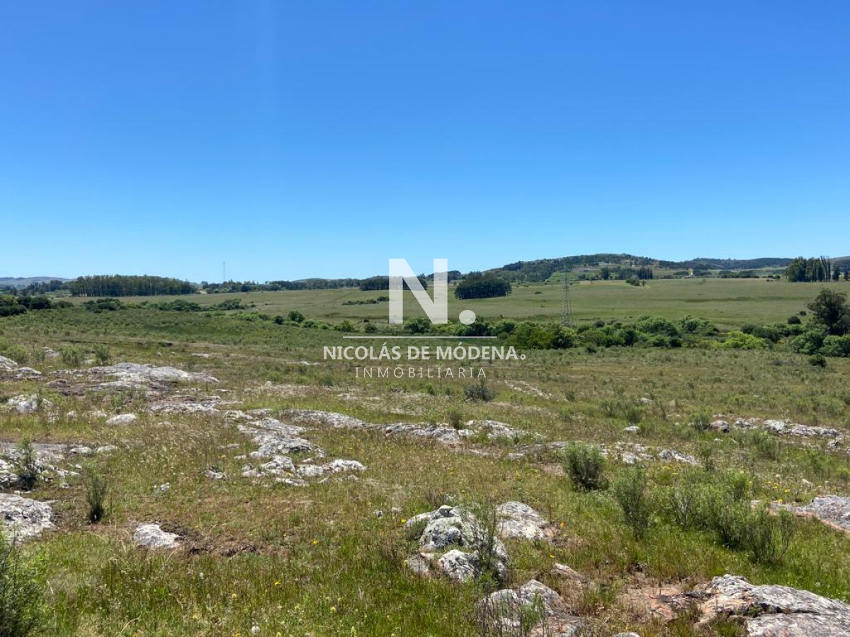 Campo a la venta en Abra del Perdomo  de 44has - GoPunta - Portal Inmobiliario de Punta del Este - Maldonado