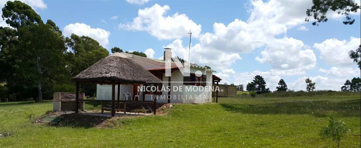 Campo