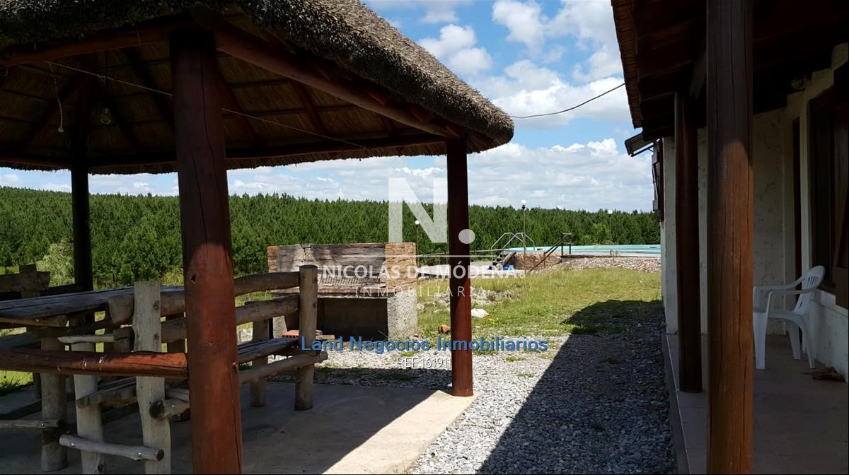 Campo