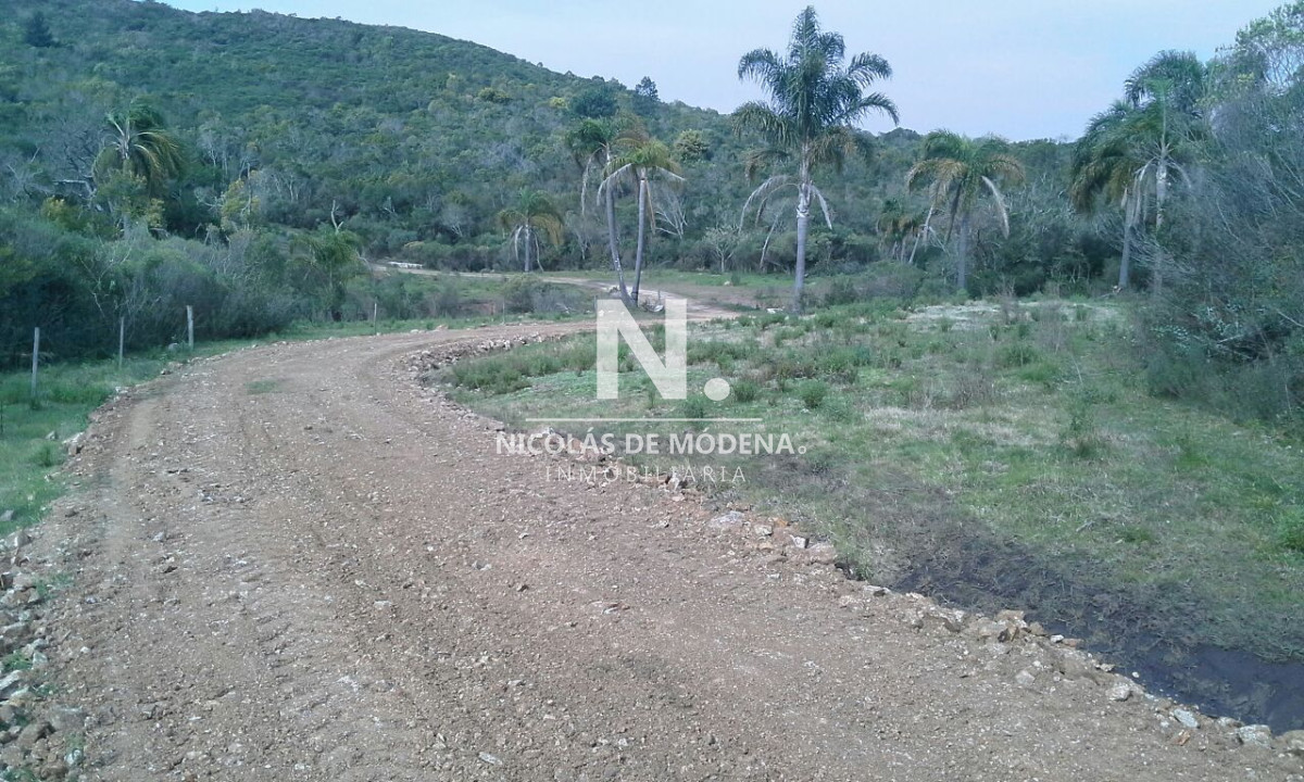 Campo