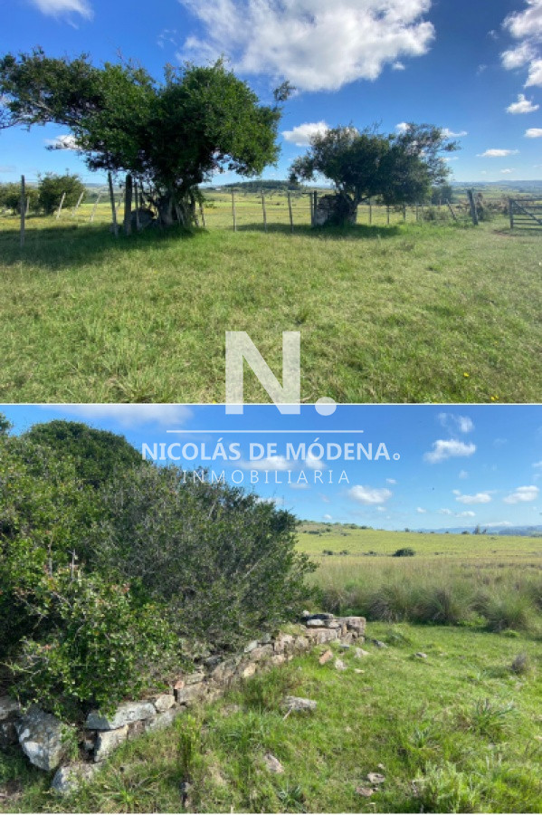 Campo ganadero en Pueblo Edén 40has - GoPunta - Portal Inmobiliario de Punta del Este - Maldonado