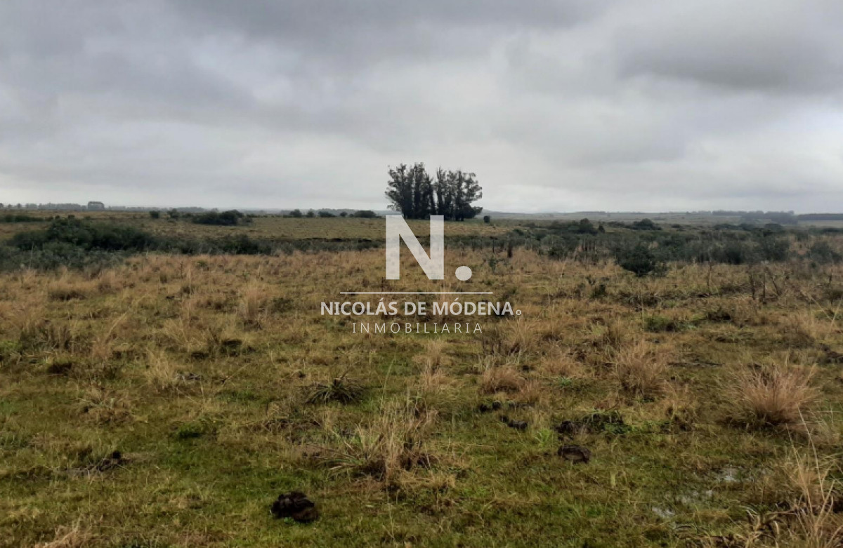 Campo en Maldonado   Garzon en venta. - GoPunta - Portal Inmobiliario de Punta del Este - Maldonado