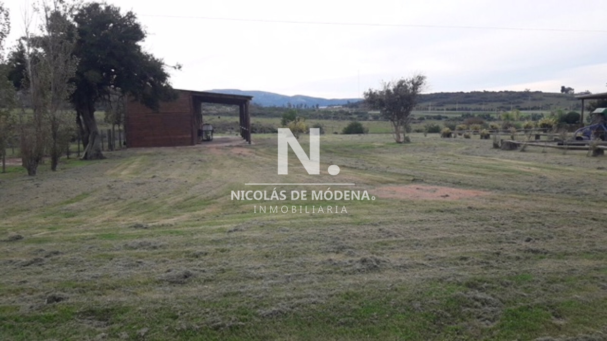 Campo
