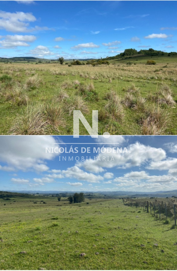 Campo ganadero en Pueblo Edén 40has - GoPunta - Portal Inmobiliario de Punta del Este - Maldonado