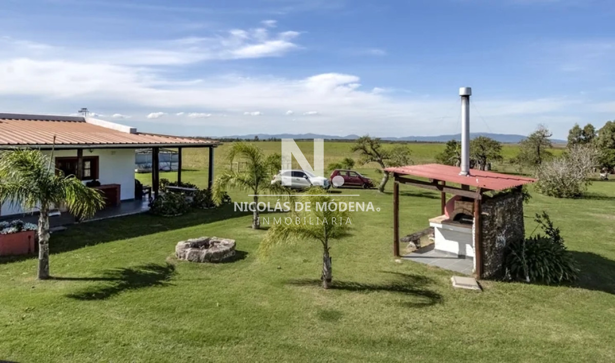 Campo