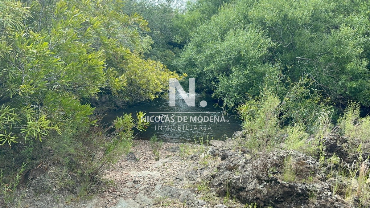 Campo