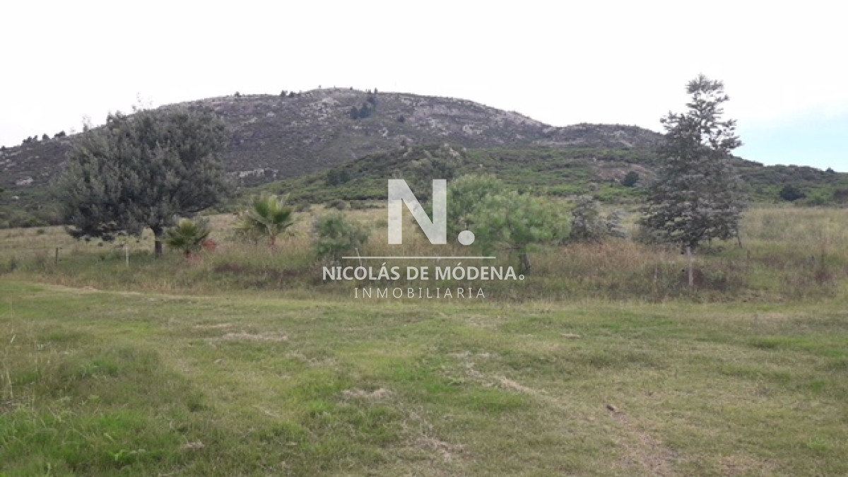 Campo