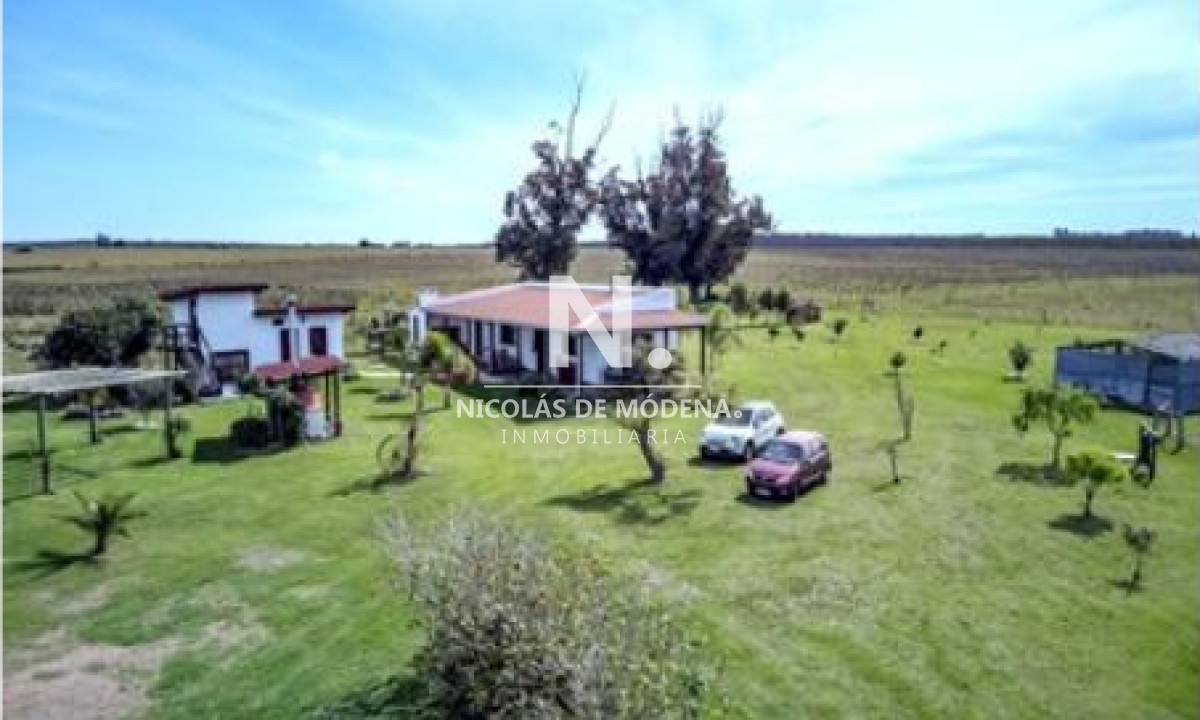 Campo