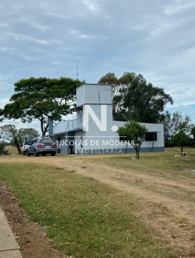 En venta campo de 643 en Don Carlos, a10km de Rocha - GoPunta - Portal Inmobiliario de Punta del Este - Maldonado