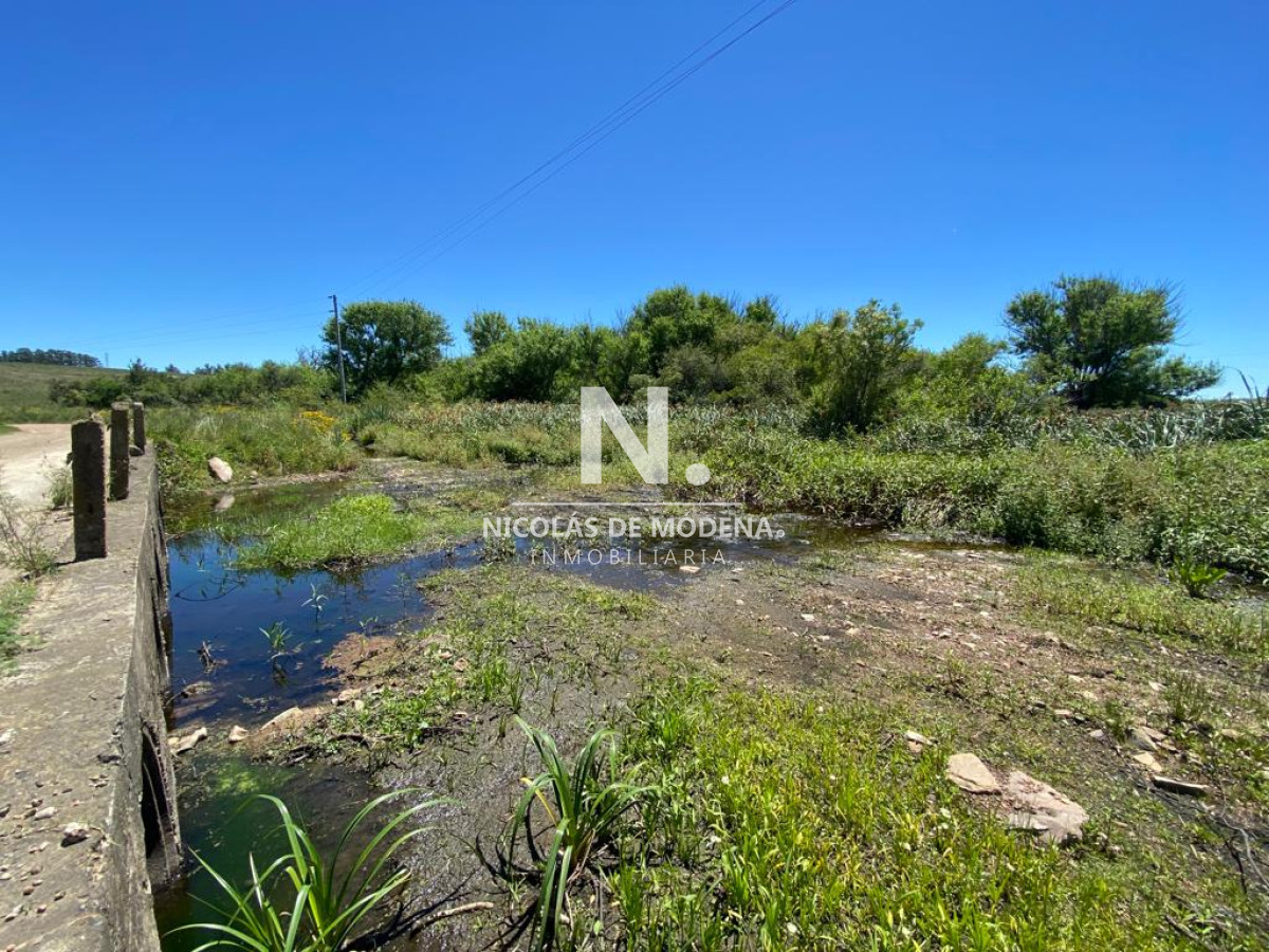 Campo a la venta en Abra del Perdomo  de 44has - GoPunta - Portal Inmobiliario de Punta del Este - Maldonado
