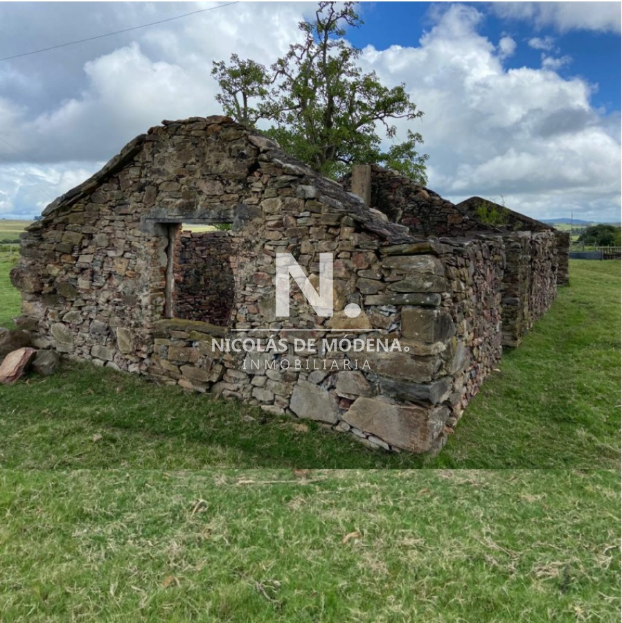 Campo