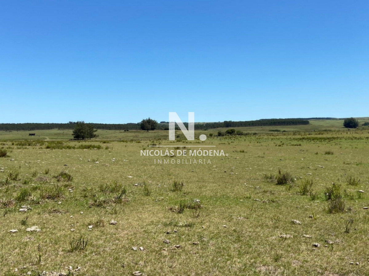 Espectacular campo de 48 hectáreas en Garzón - GoPunta - Portal Inmobiliario de Punta del Este - Maldonado