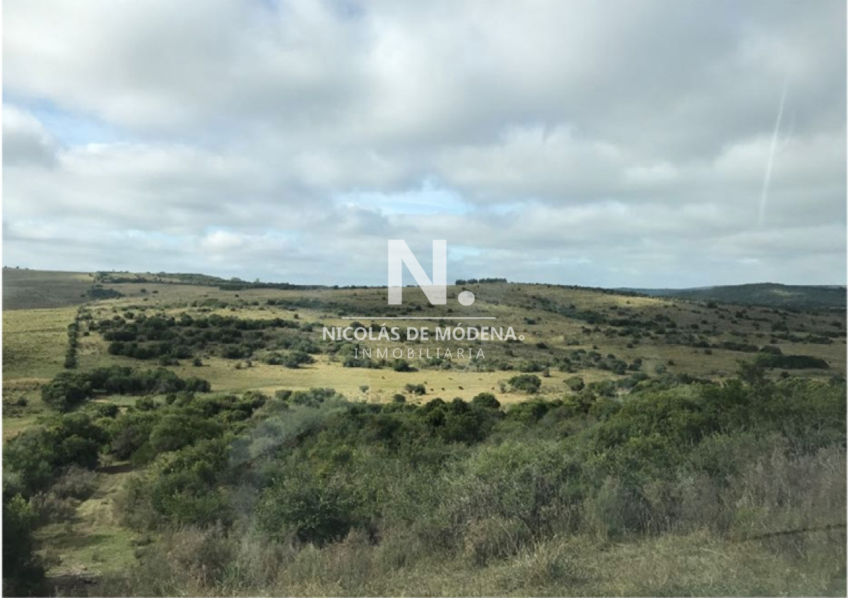 En venta campo criador en Montevideo   Treinta y Tres. - GoPunta - Portal Inmobiliario de Punta del Este - Maldonado