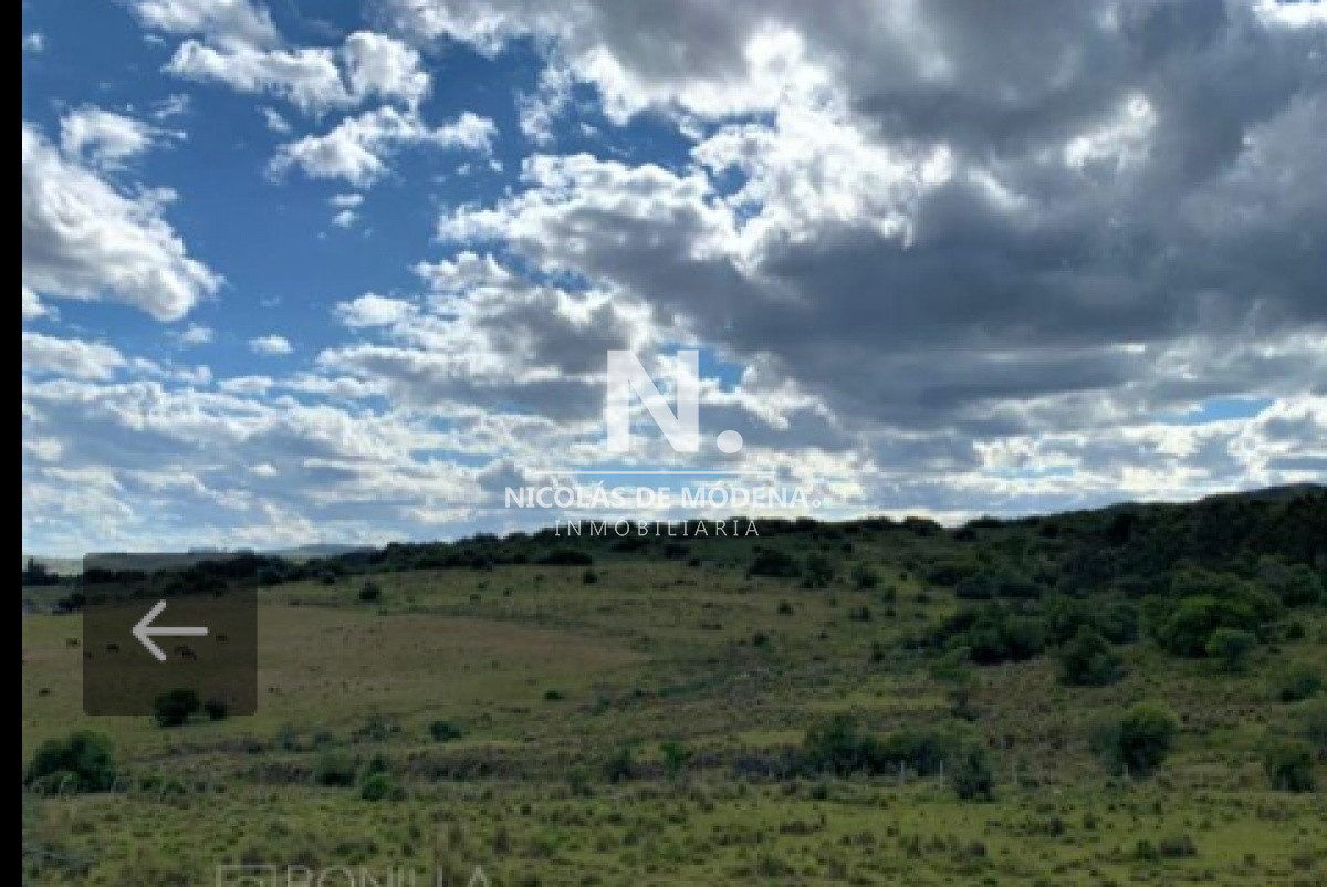 Campo