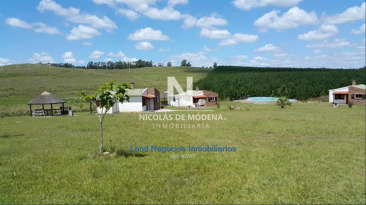 Campo