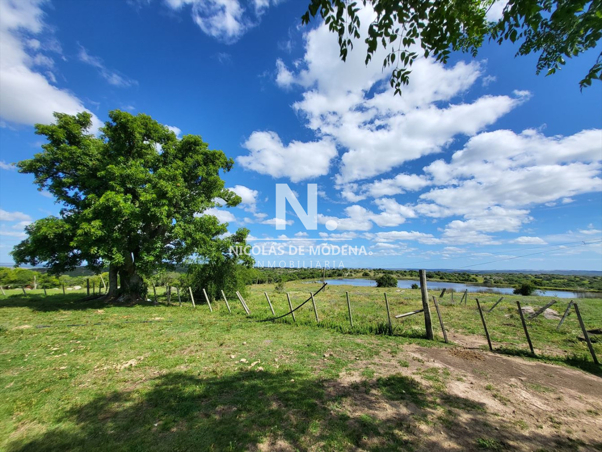 Vende Campo en Lavalleja de 1075 con casa principal y de personal. - GoPunta - Portal Inmobiliario de Punta del Este - Maldonado