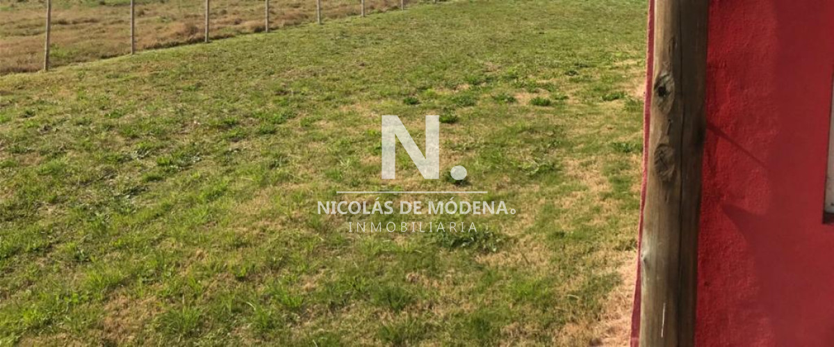 Campo de 63 hectáreas - GoPunta - Portal Inmobiliario de Punta del Este - Maldonado