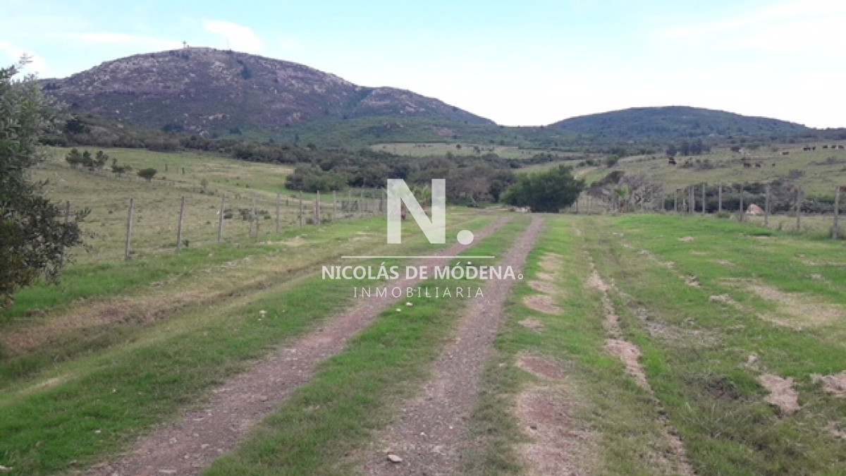 Campo
