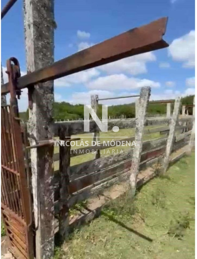 Vende Gran campo Ganadero  Forestal - GoPunta - Portal Inmobiliario de Punta del Este - Maldonado