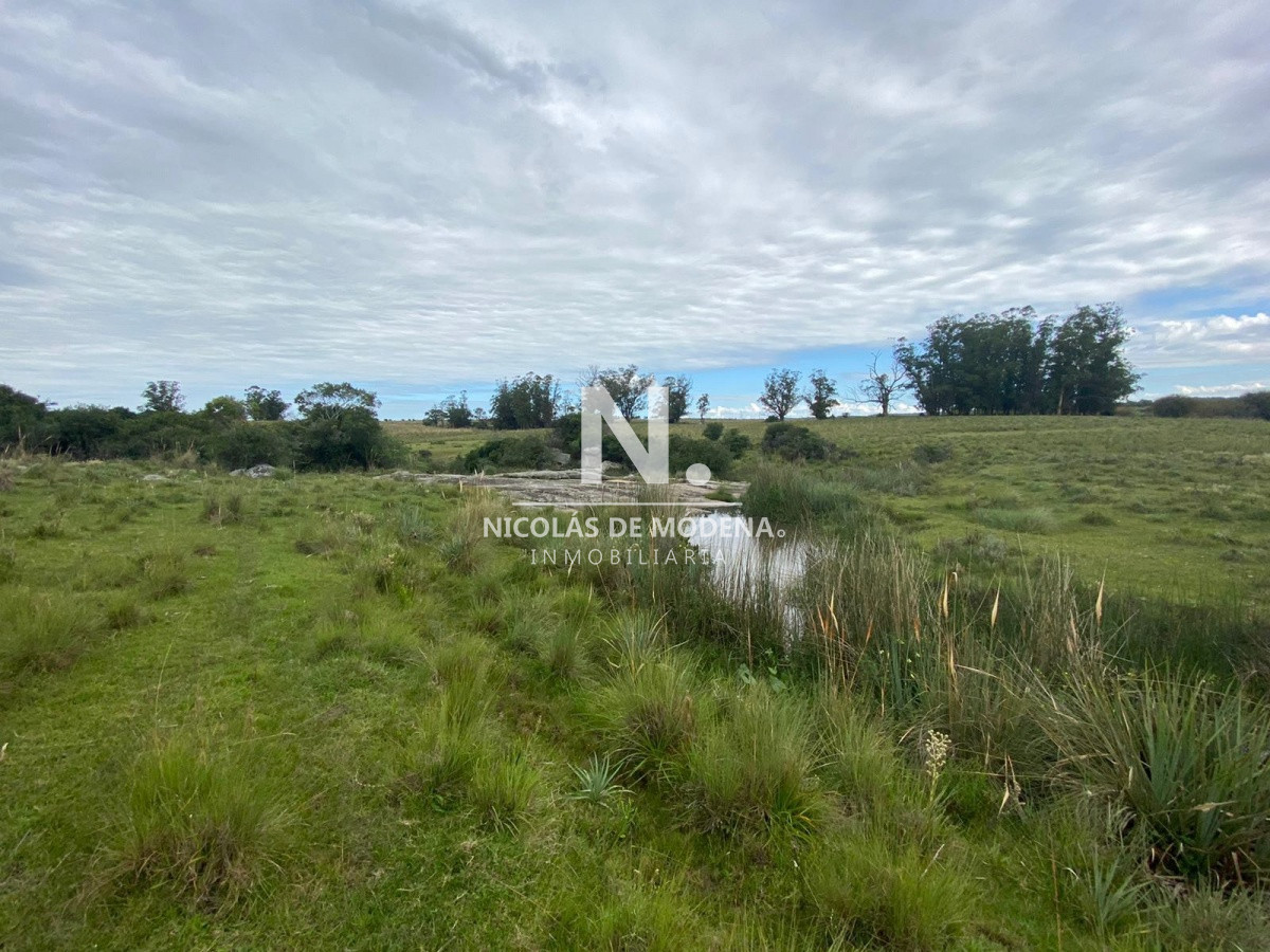 Campo