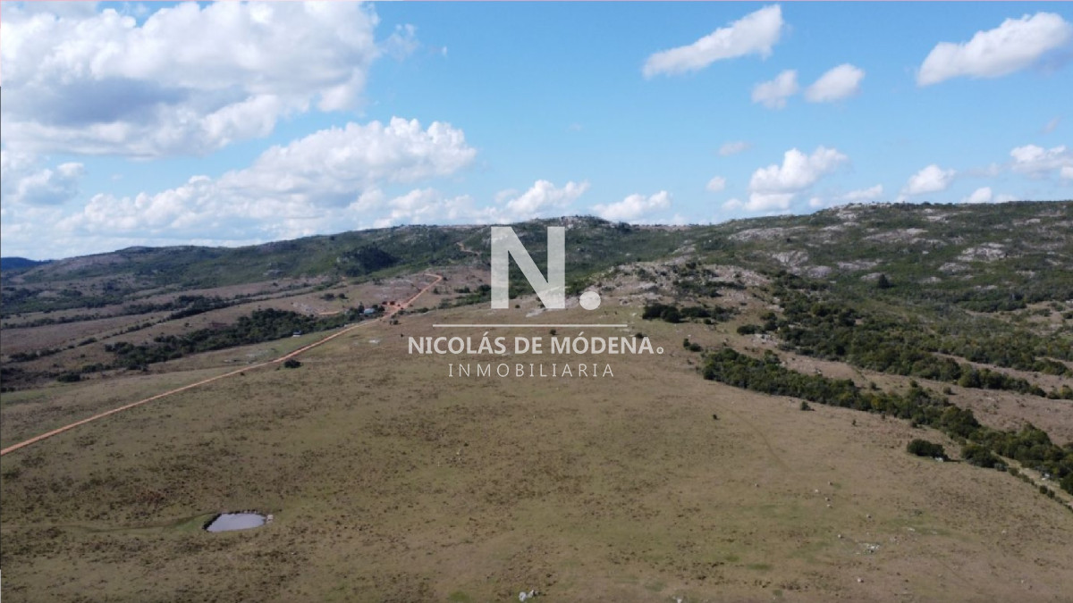 Campo