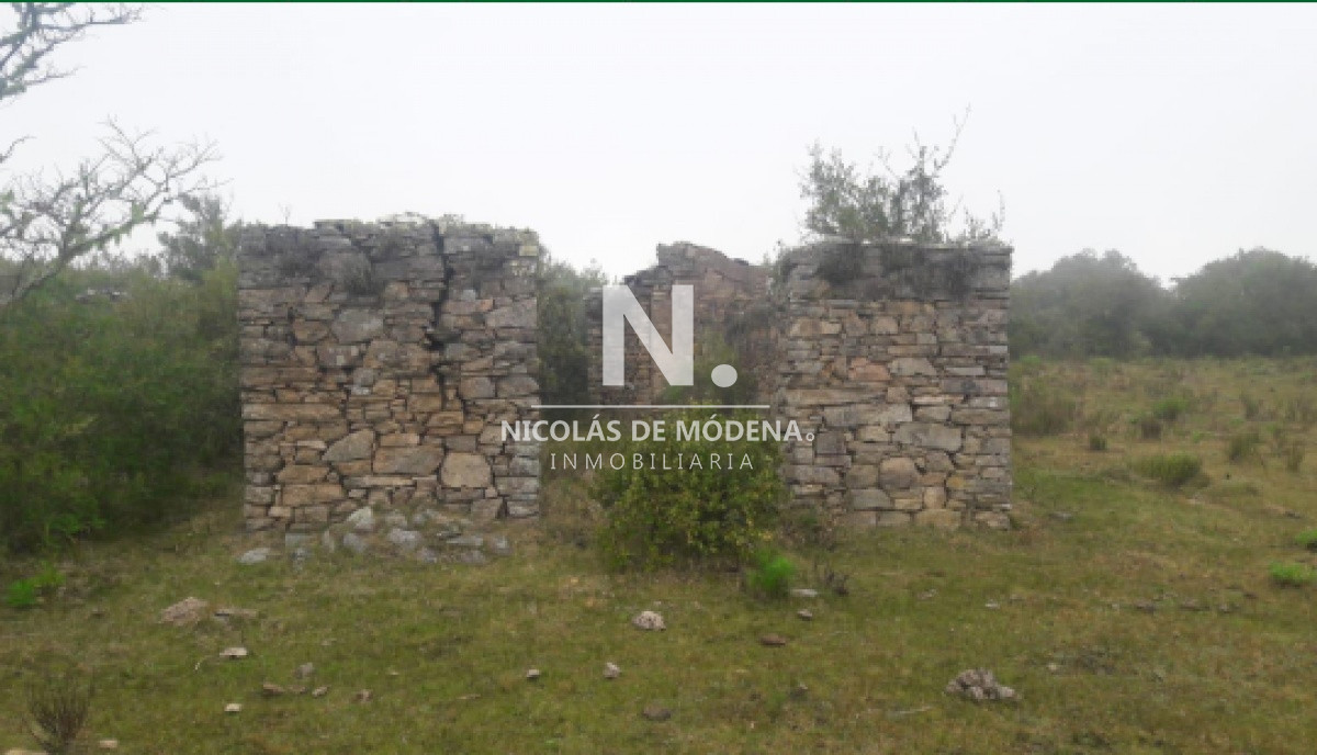 Campo