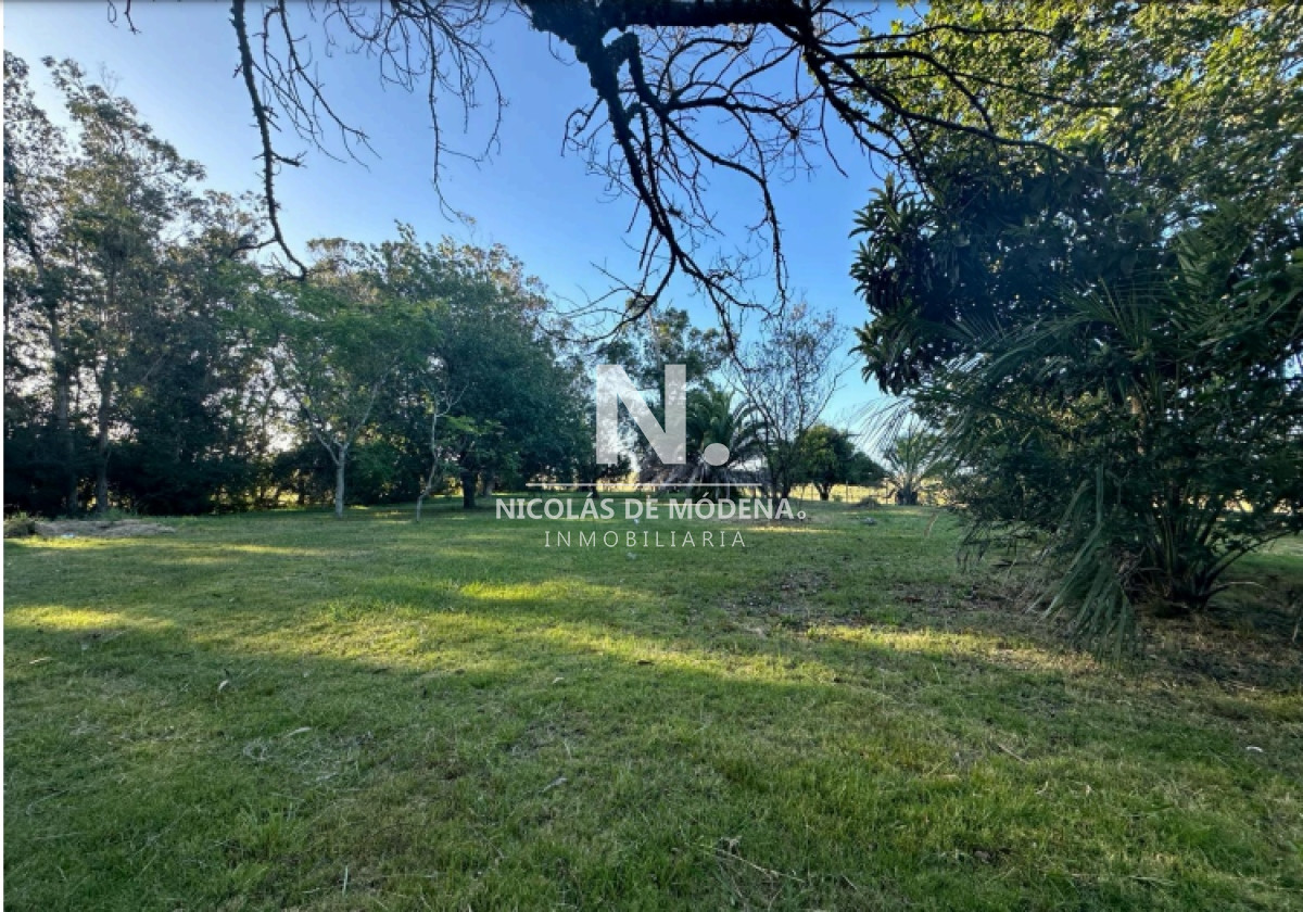 Vende excelente campo en  Jose Ignacio, ideal para fin turistico - GoPunta - Portal Inmobiliario de Punta del Este - Maldonado